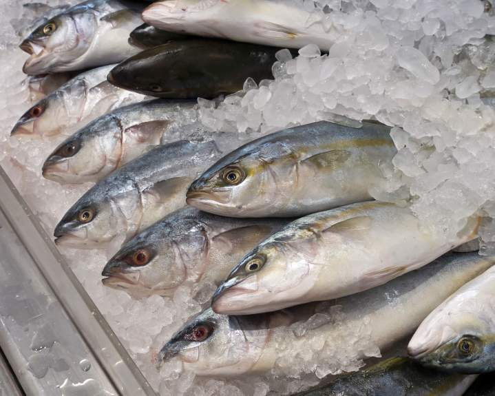 Grossiste en poissonnerie Guadeloupe
