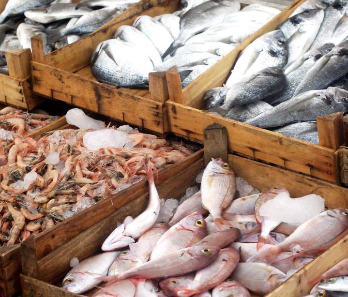 Vente de poissons Guadeloupe